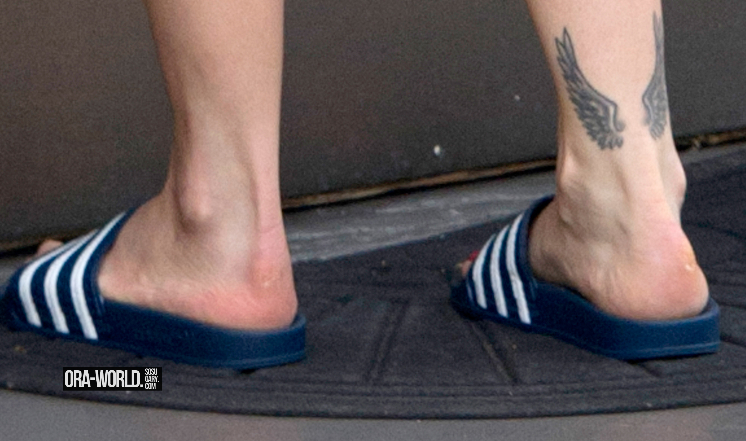 Rita Ora feet photo 192989500 Rita Ora feet photo 192989500 - High quality celebrity feet picture