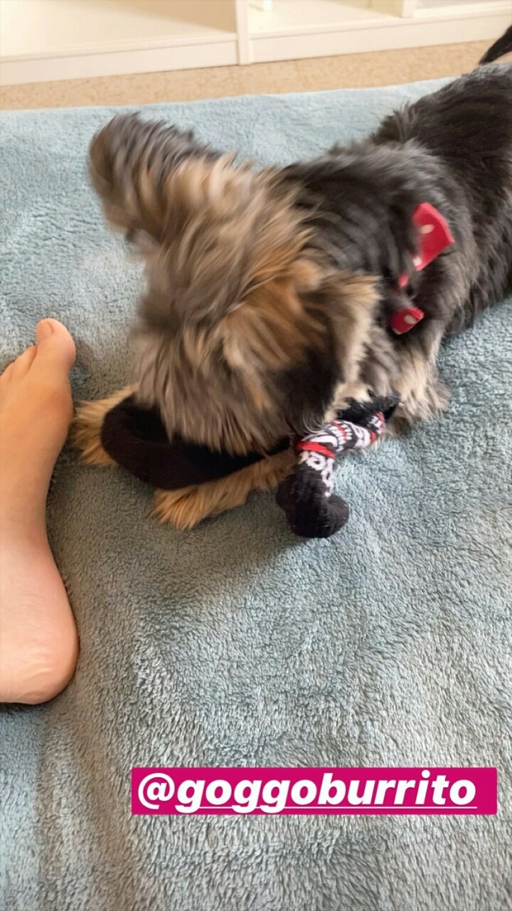 Sabrina Cereseto feet photo 193063007 Sabrina Cereseto feet photo 193063007 - High quality celebrity feet picture