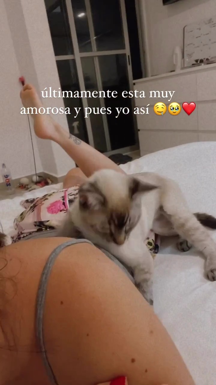 Saraí Meza feet photo 193175442 Saraí Meza feet photo 193175442 - High quality celebrity feet picture