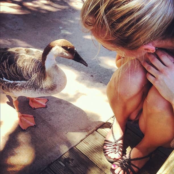 Savvy Burhoe feet photo 193187895 Savvy Burhoe feet photo 193187895 - High quality celebrity feet picture