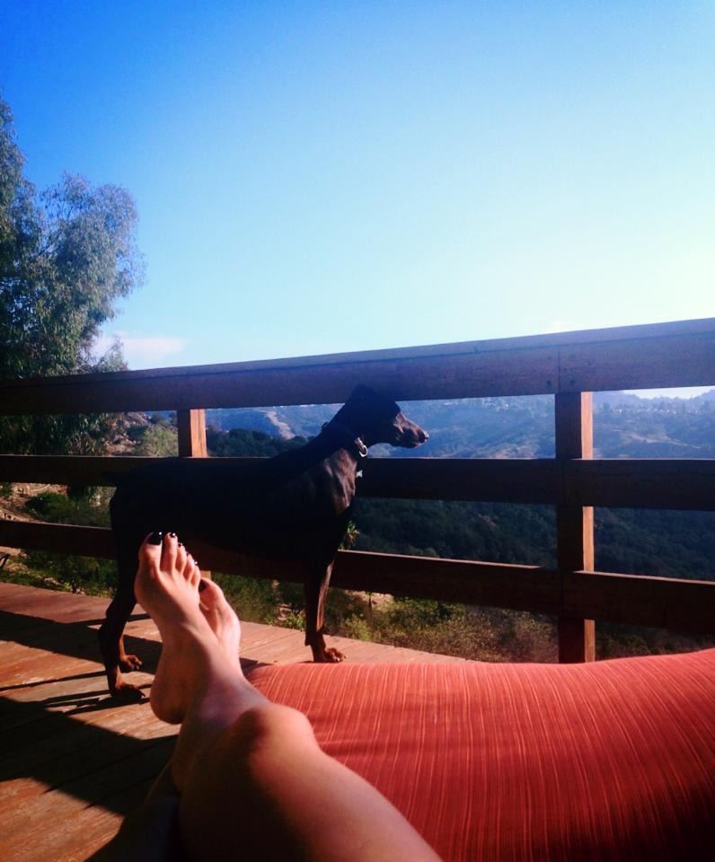 Saye Yabandeh feet photo 193191298 Saye Yabandeh feet photo 193191298 - High quality celebrity feet picture