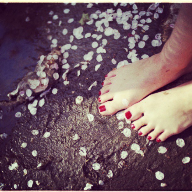 Sayo Akasaka feet photo 193191381 Sayo Akasaka feet photo 193191381 - High quality celebrity feet picture