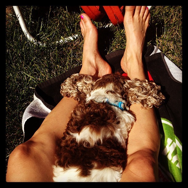 Schell M. Peterson feet photo 193196980 Schell M. Peterson feet photo 193196980 - High quality celebrity feet picture