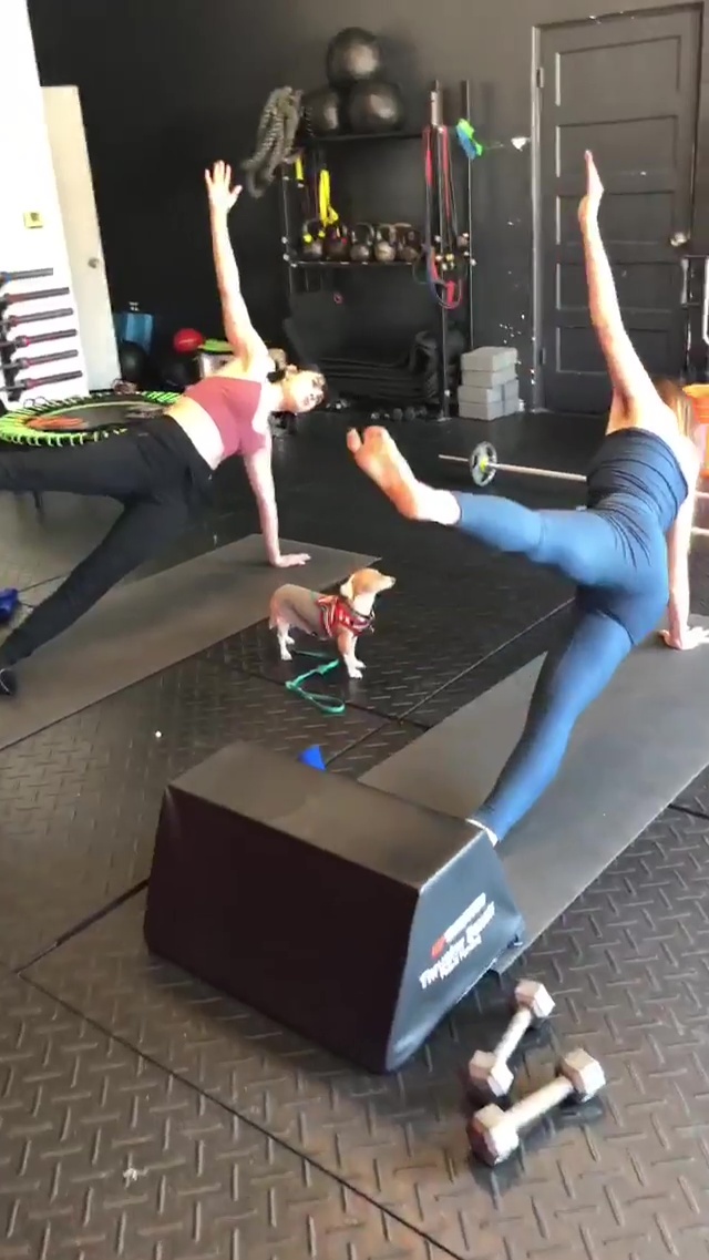 Scout Willis feet photo 193197887 Scout Willis feet photo 193197887 - High quality celebrity feet picture