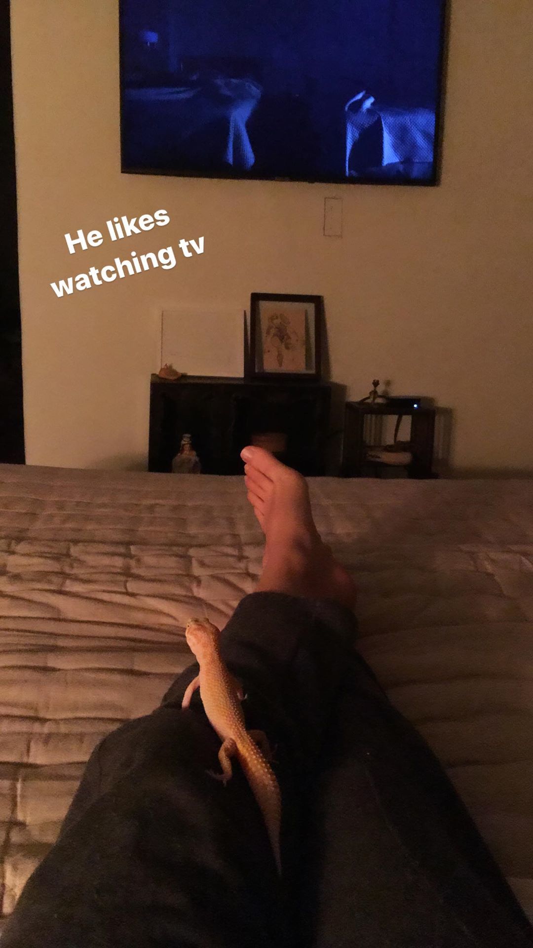 Scout Willis feet photo 193197895 Scout Willis feet photo 193197895 - High quality celebrity feet picture