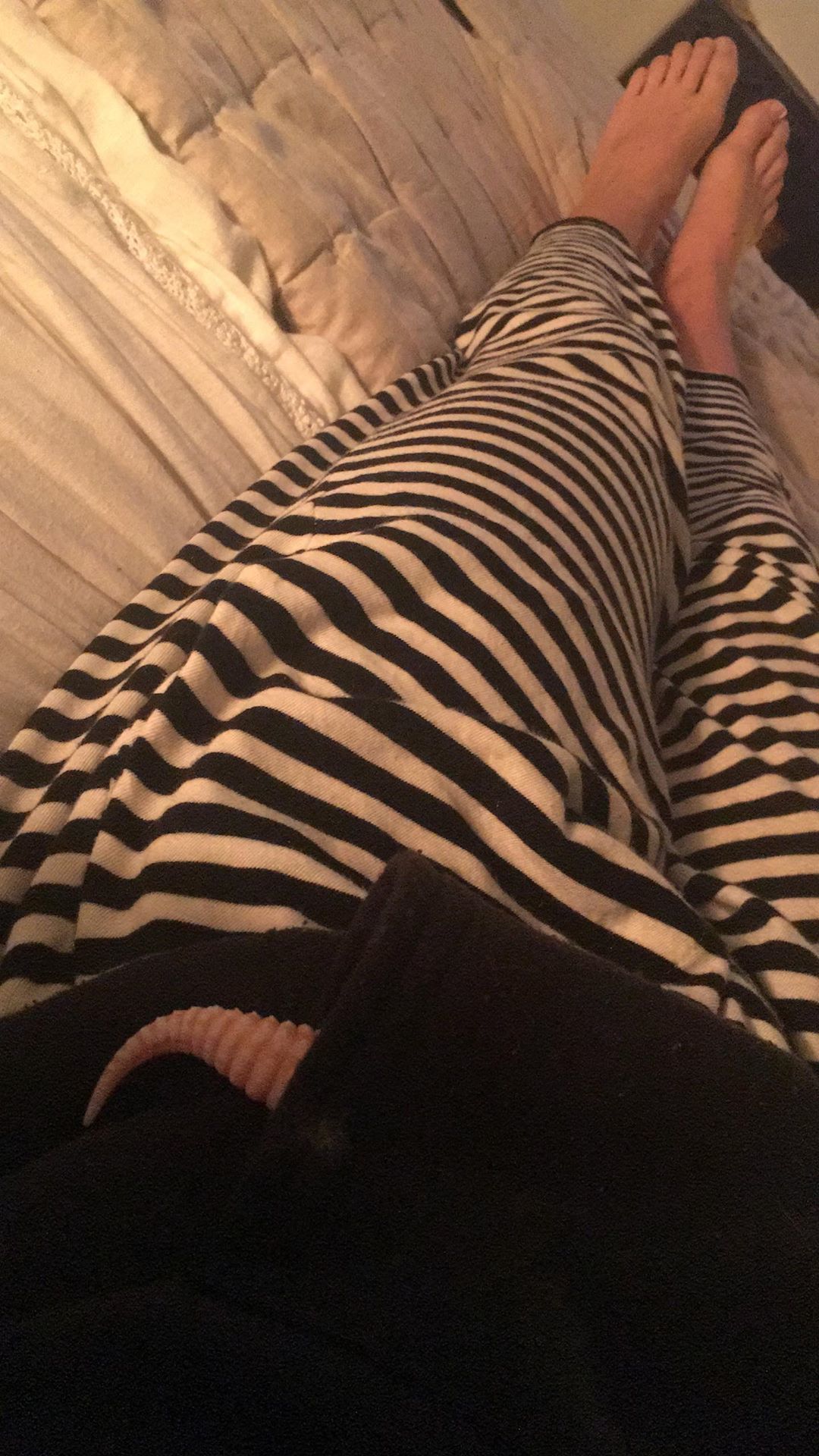 Scout Willis feet photo 193197896 Scout Willis feet photo 193197896 - High quality celebrity feet picture