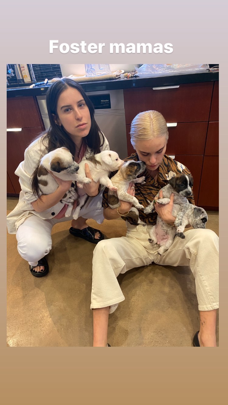 Scout Willis feet photo 193197898 Scout Willis feet photo 193197898 - High quality celebrity feet picture