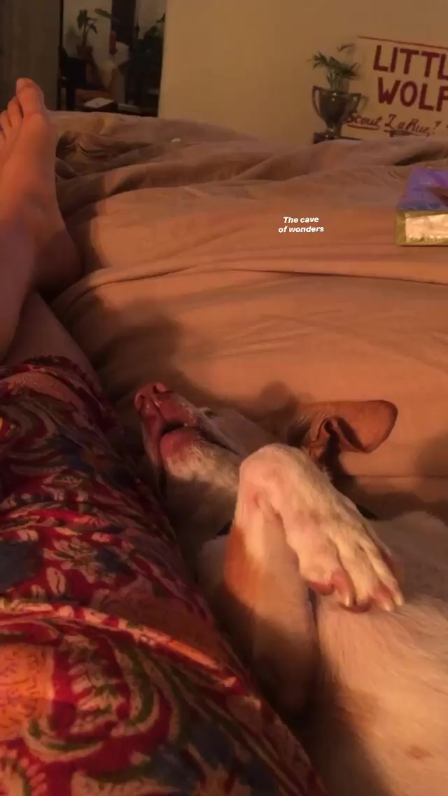 Scout Willis feet photo 193197901 Scout Willis feet photo 193197901 - High quality celebrity feet picture