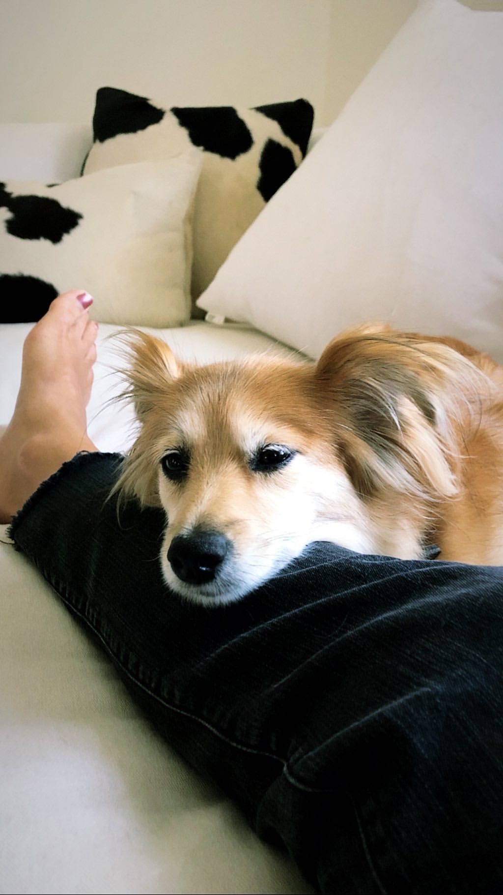 Sea Shimooka feet photo 193198280 Sea Shimooka feet photo 193198280 - High quality celebrity feet picture