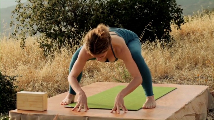 Seane Corn feet photo 193198877 Seane Corn feet photo 193198877 - High quality celebrity feet picture