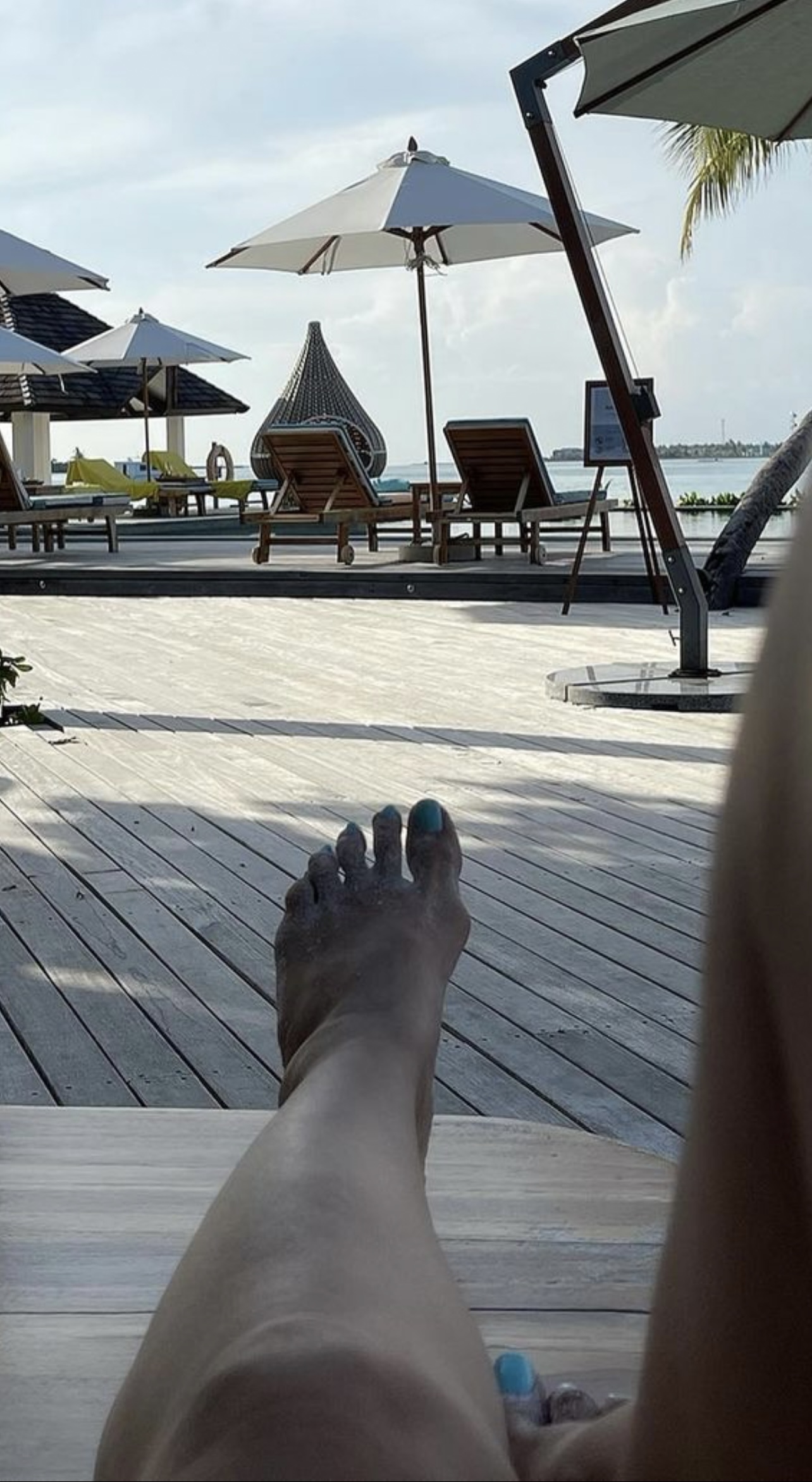 Seema Khan feet photo 193200355 Seema Khan feet photo 193200355 - High quality celebrity feet picture