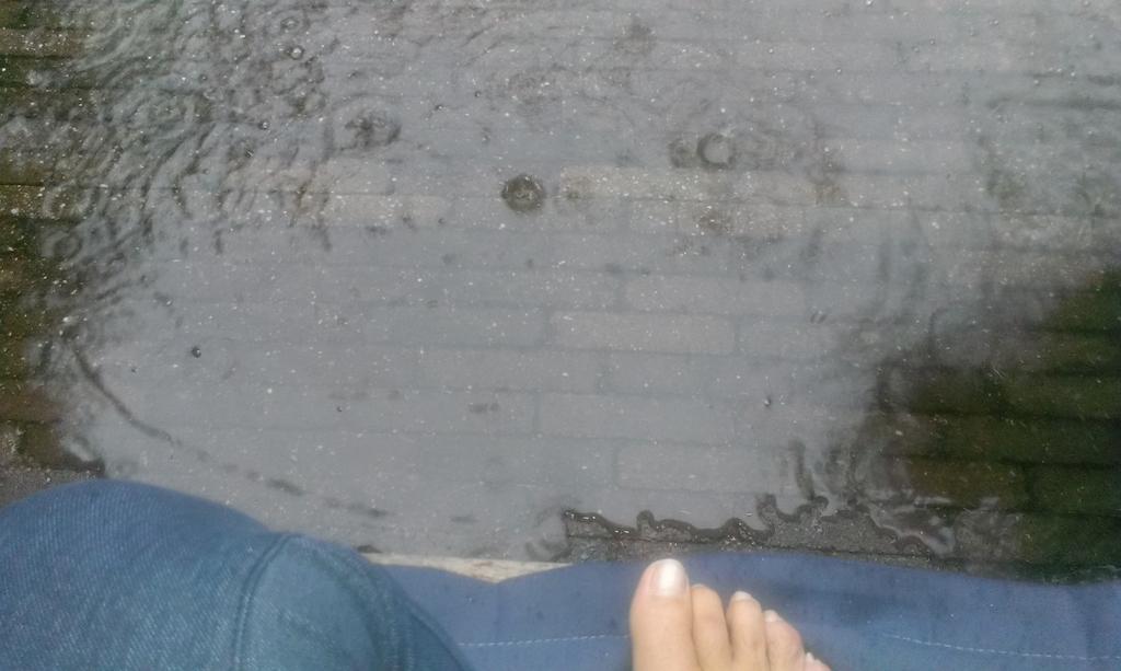 Selma van Dijk feet photo 193211613 Selma van Dijk feet photo 193211613 - High quality celebrity feet picture