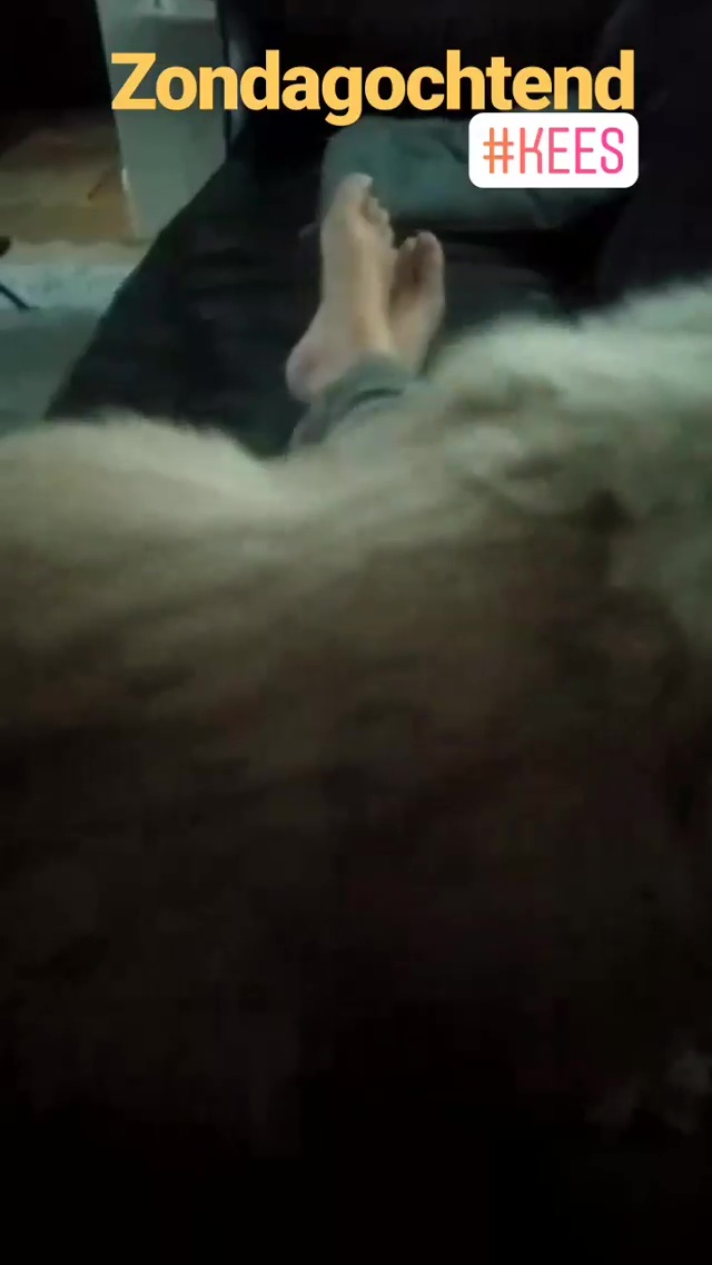 Selma van Dijk feet photo 193211646 Selma van Dijk feet photo 193211646 - High quality celebrity feet picture