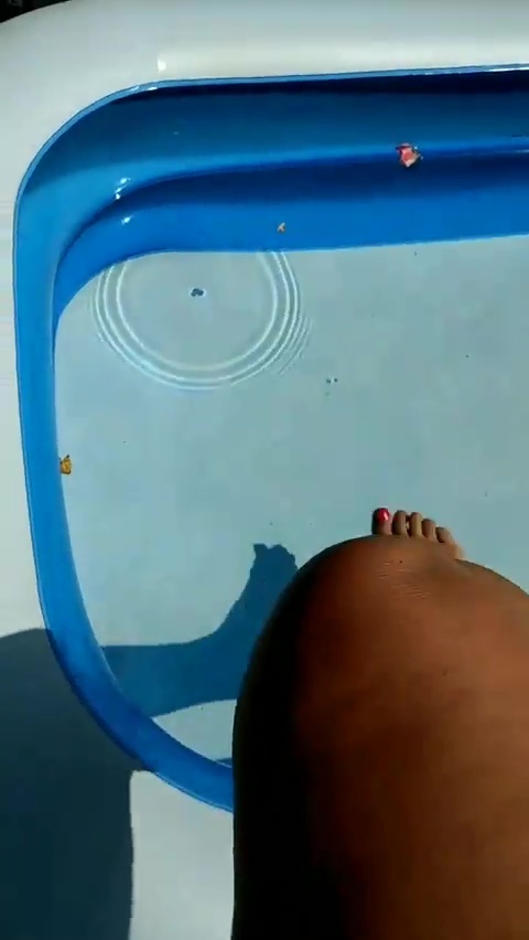 Selma van Dijk feet photo 193211655 Selma van Dijk feet photo 193211655 - High quality celebrity feet picture