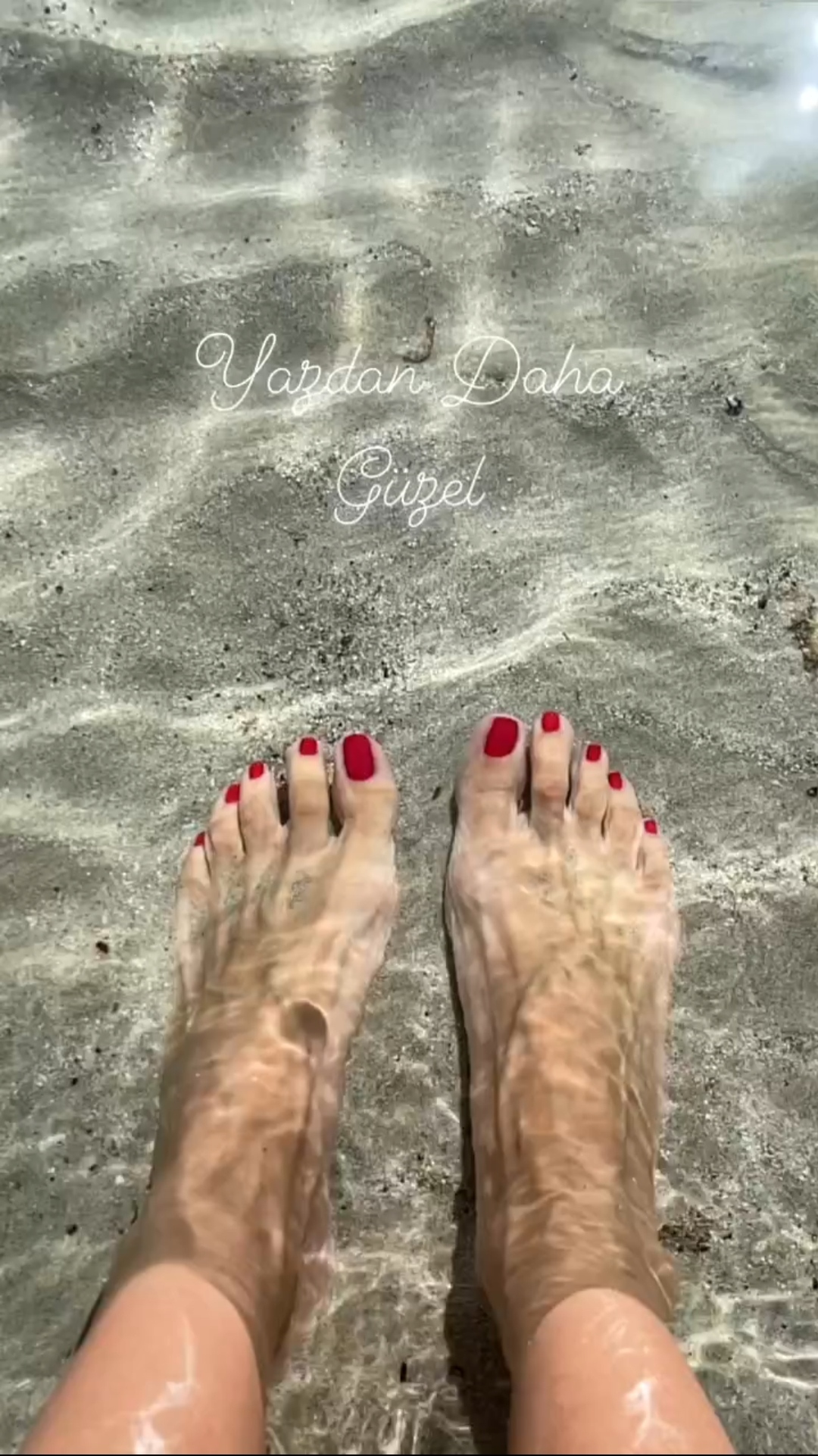 Sema Simsek feet photo 233166064 Sema Simsek feet photo 233166064 - High quality celebrity feet picture