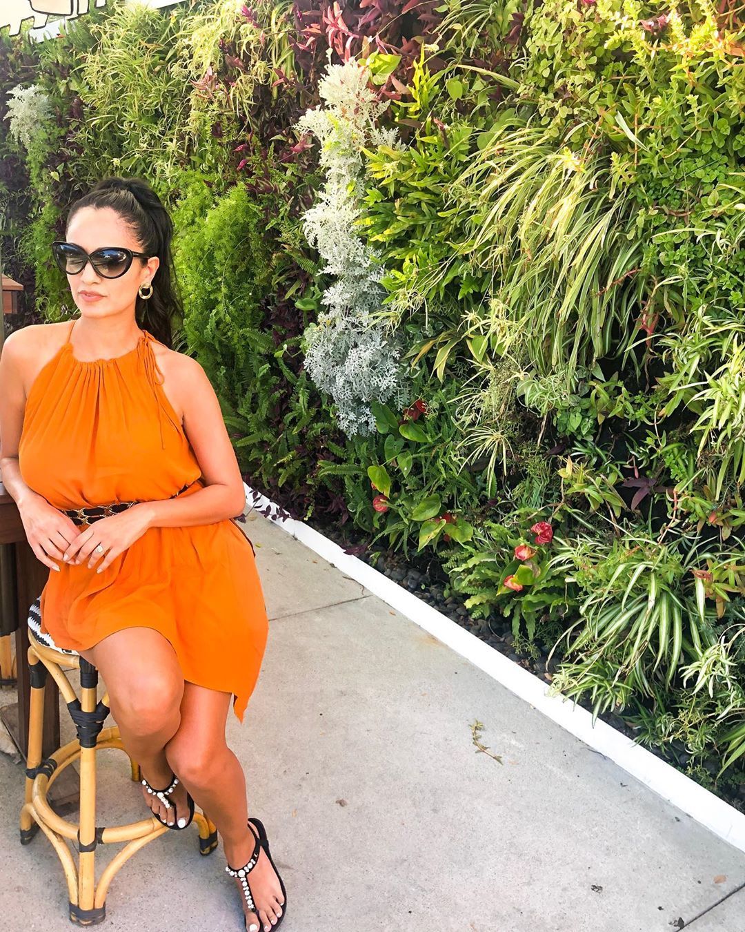 Sepideh Haftgoli feet photo 193213638 Sepideh Haftgoli feet photo 193213638 - High quality celebrity feet picture
