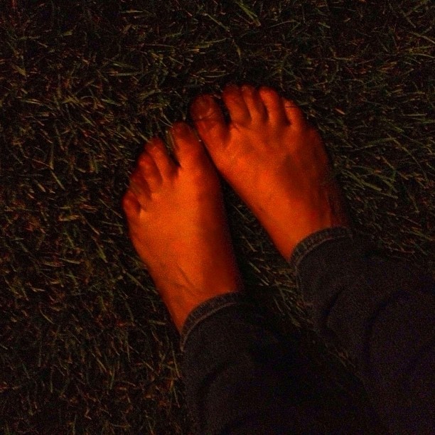 Serena Bortone feet photo 193214657 Serena Bortone feet photo 193214657 - High quality celebrity feet picture
