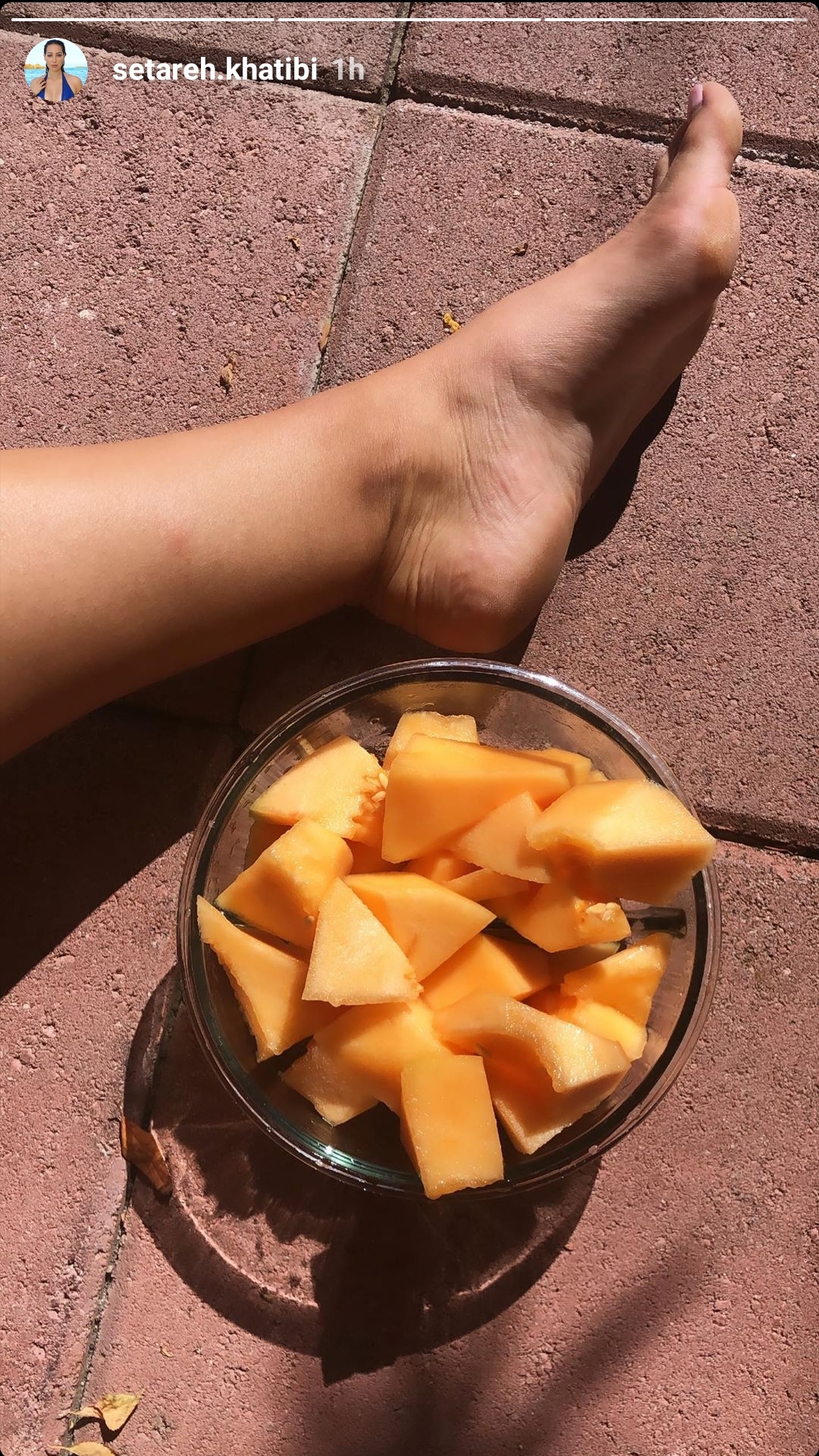 Setareh Khatibi feet photo 193218187 Setareh Khatibi feet photo 193218187 - High quality celebrity feet picture