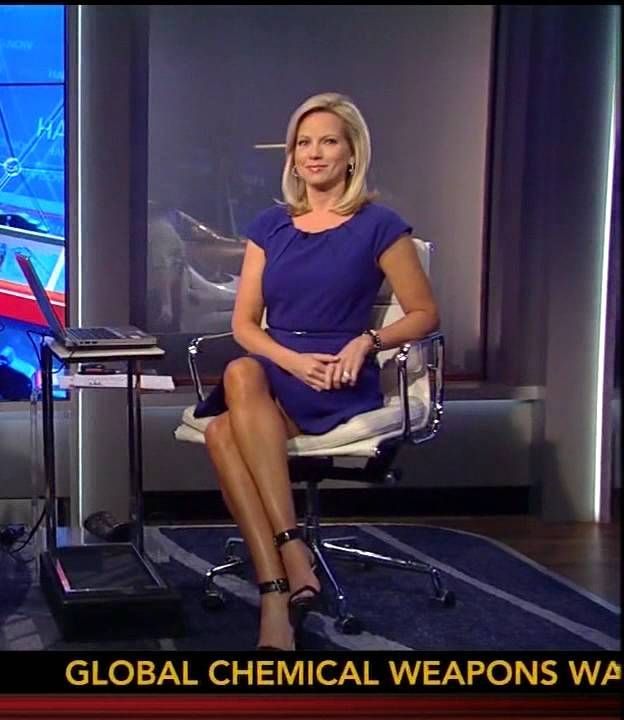 Shannon Bream Fakes