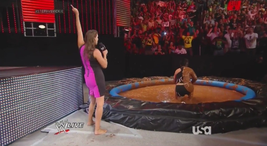 Stephanie Mcmahon Fakes