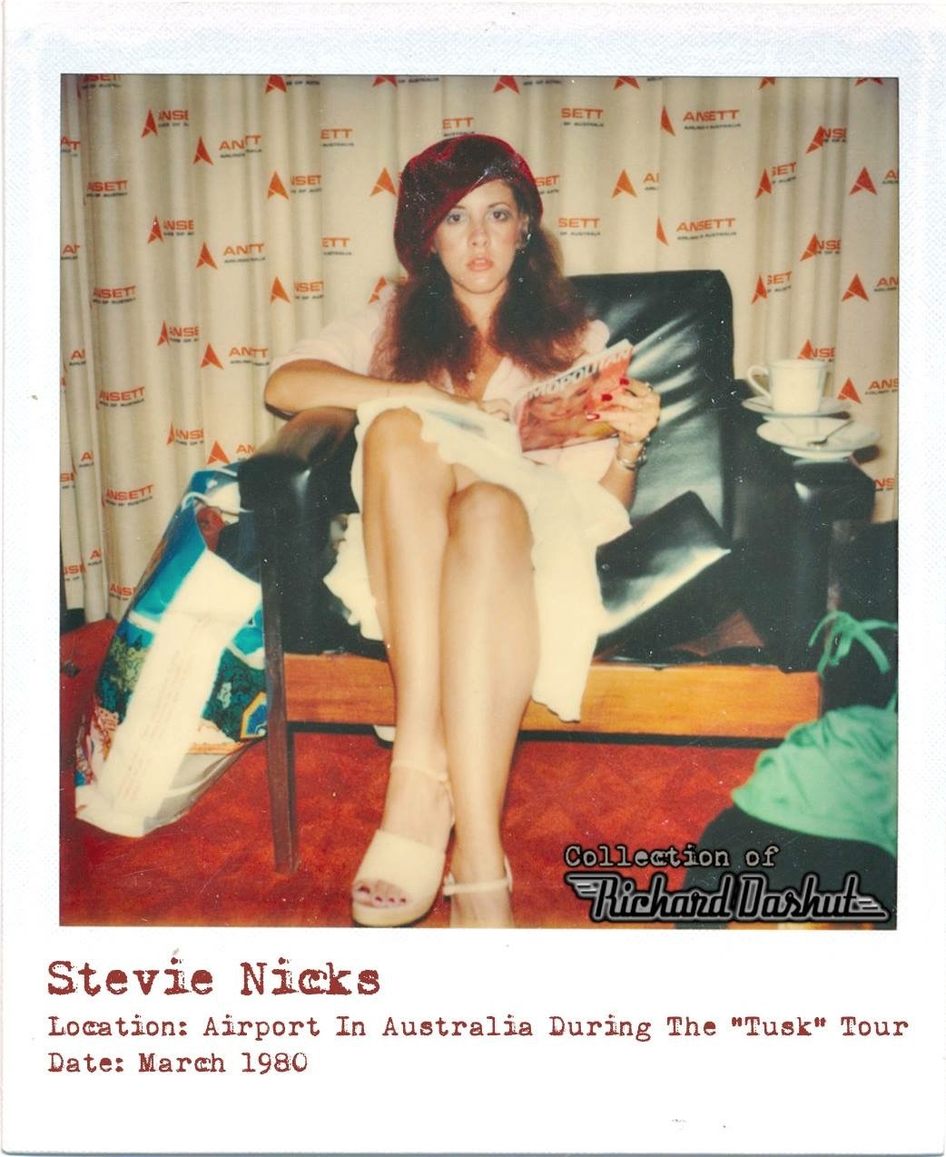 People who liked Stevie Nicks's feet, also liked.