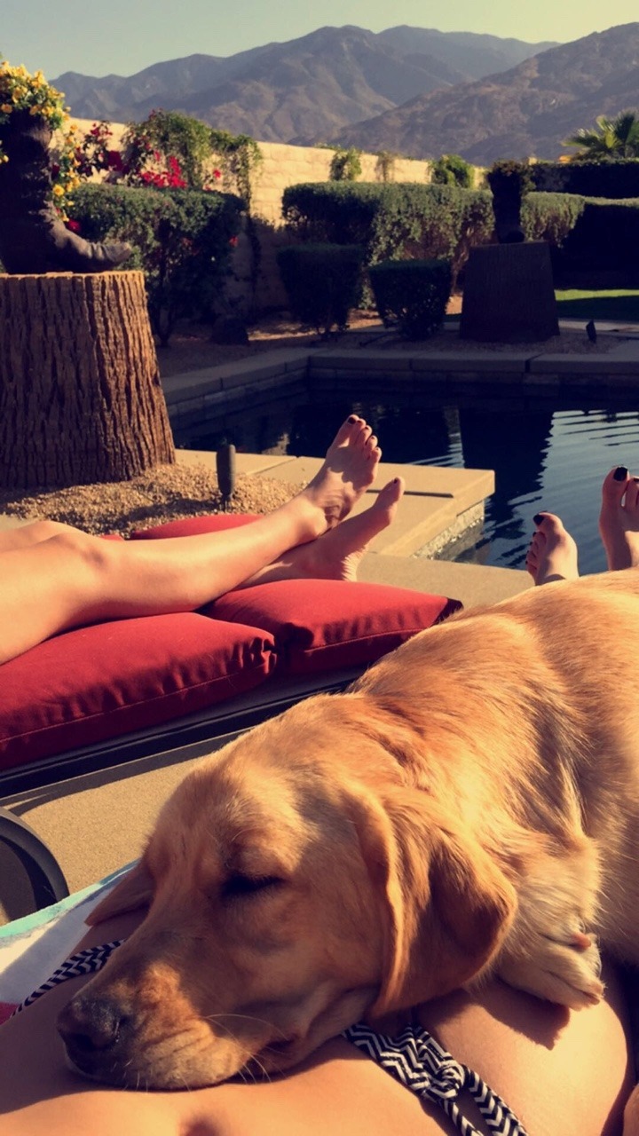 Stevie Boebi feet photo 193432689 Stevie Boebi feet photo 193432689 - High quality celebrity feet picture