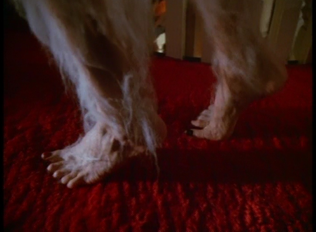 People who liked Susan Blakely's feet, also liked.