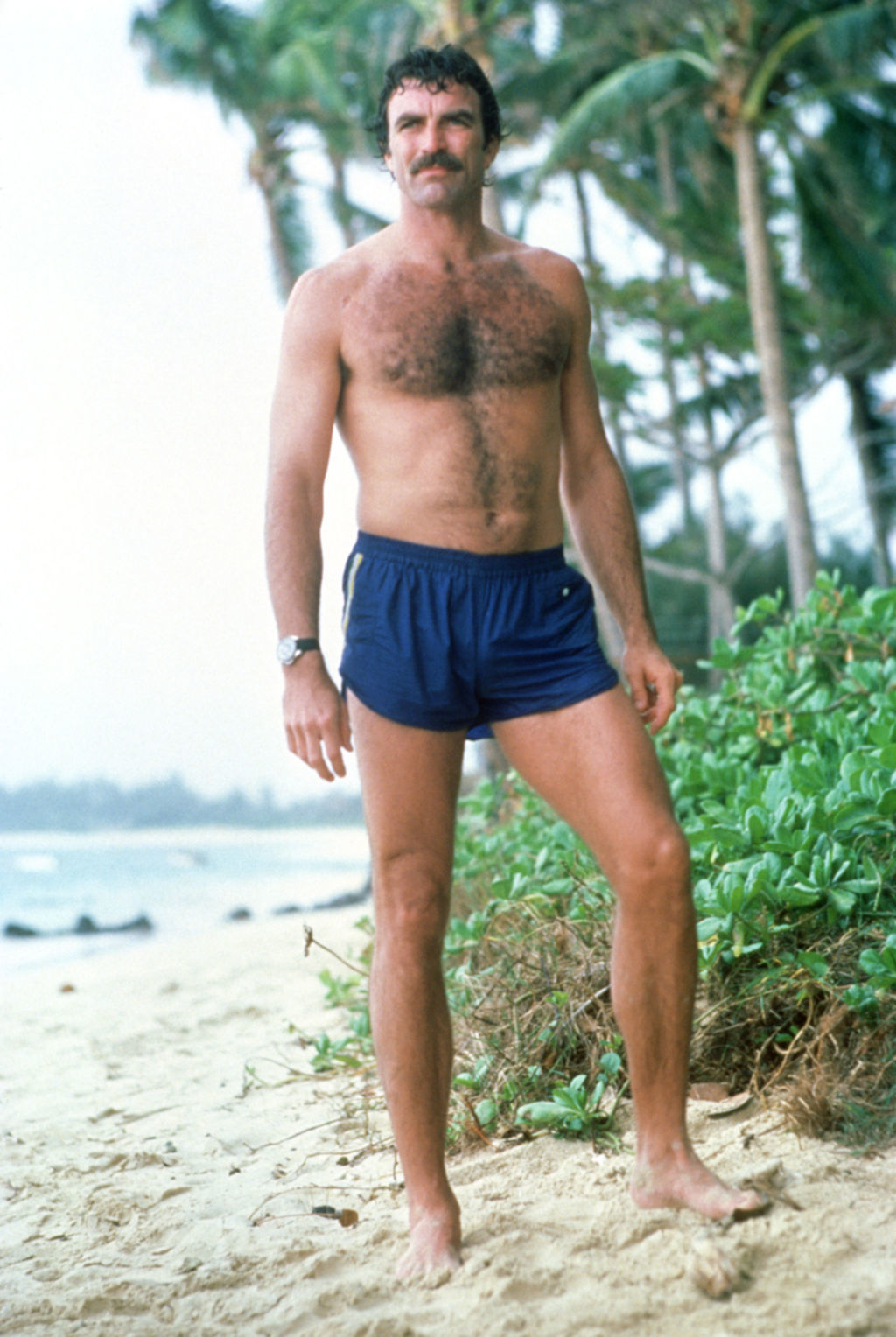 People who liked Tom Selleck's feet, also liked.