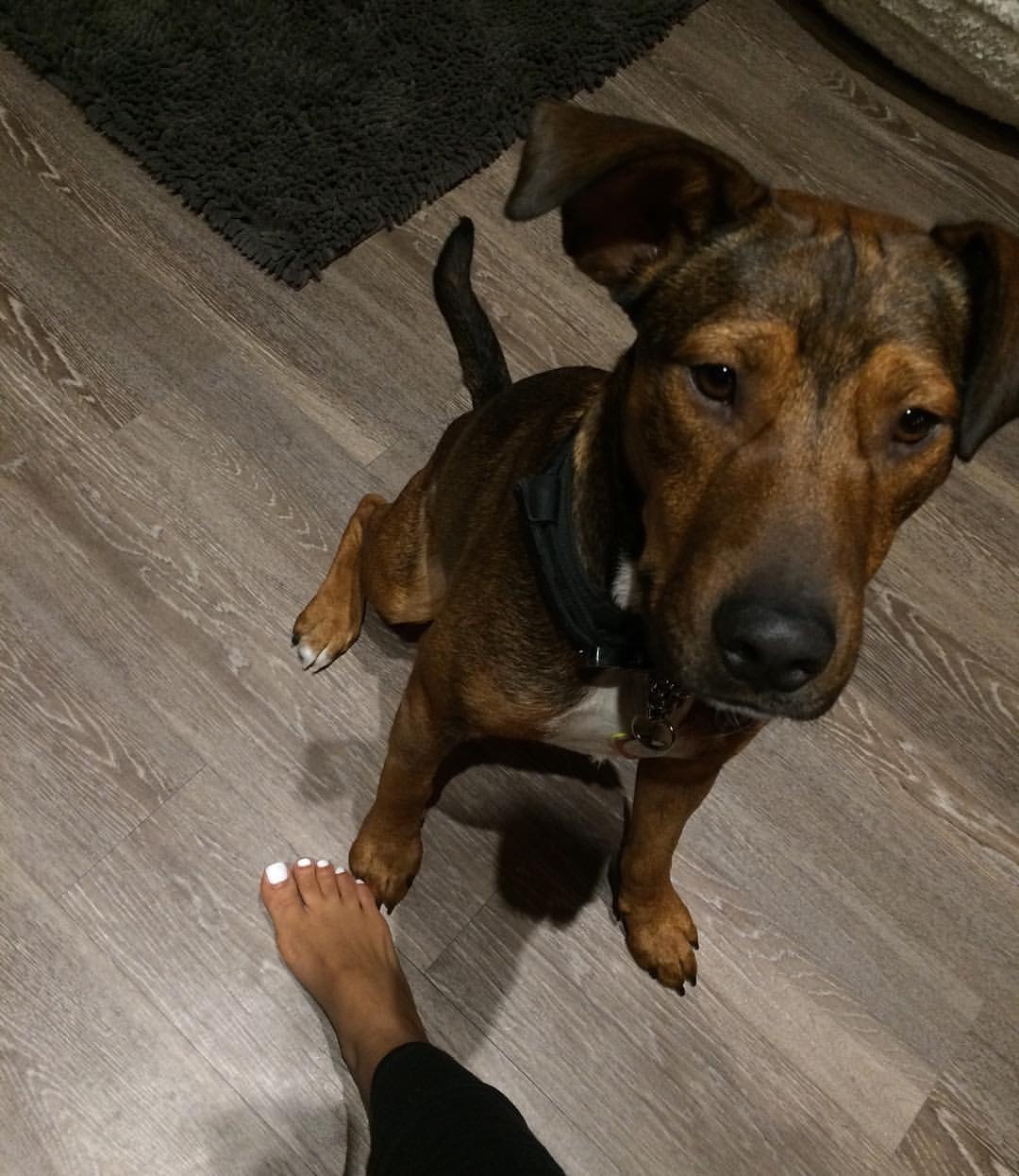 Tristin Mays's Feet I piedi di Tristin Mays Celebrities Feet 2024