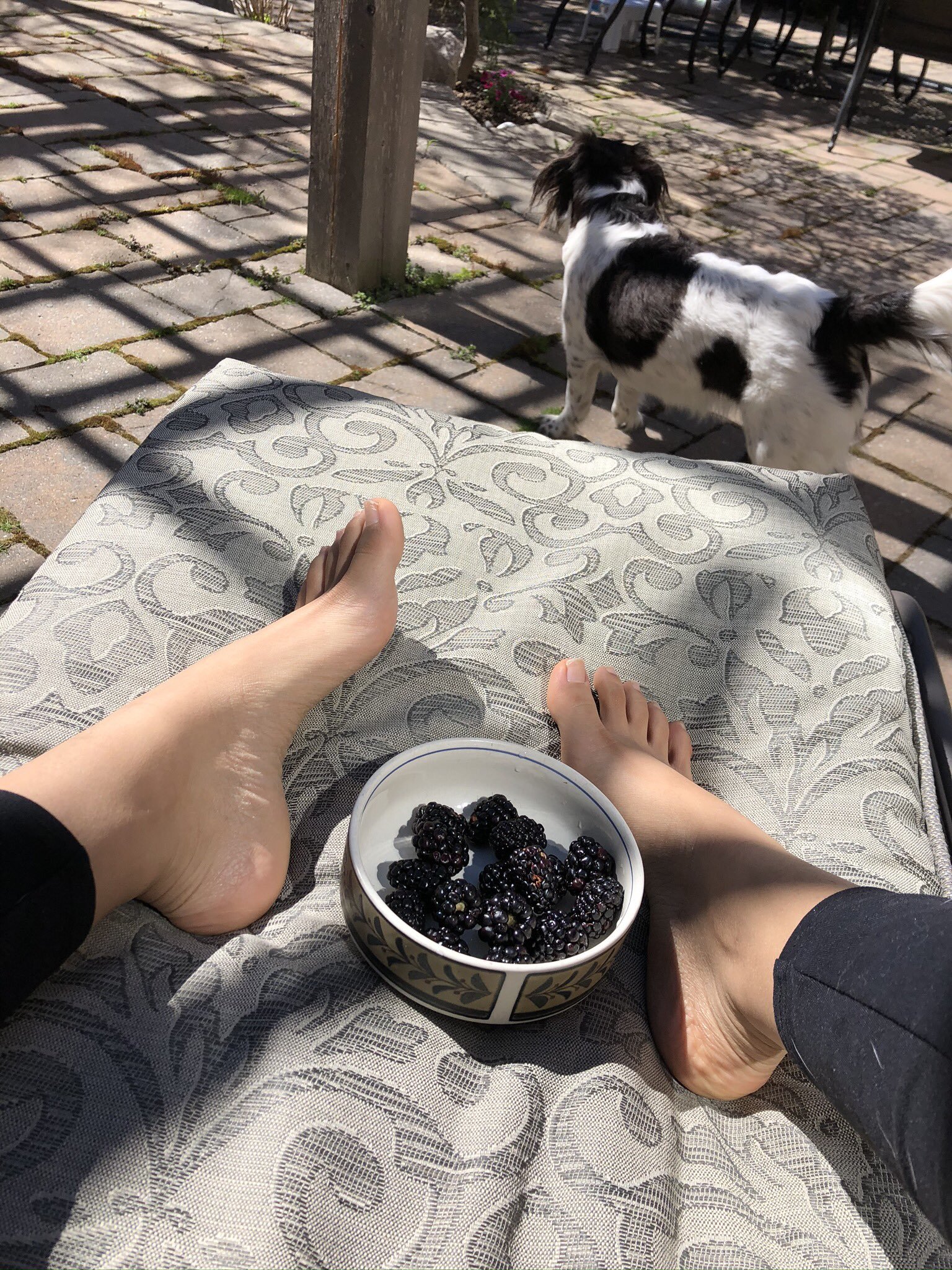 Vanessa Jay Vains feet