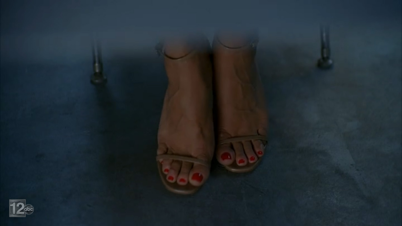 People who liked Vanessa Williams's feet, also liked.