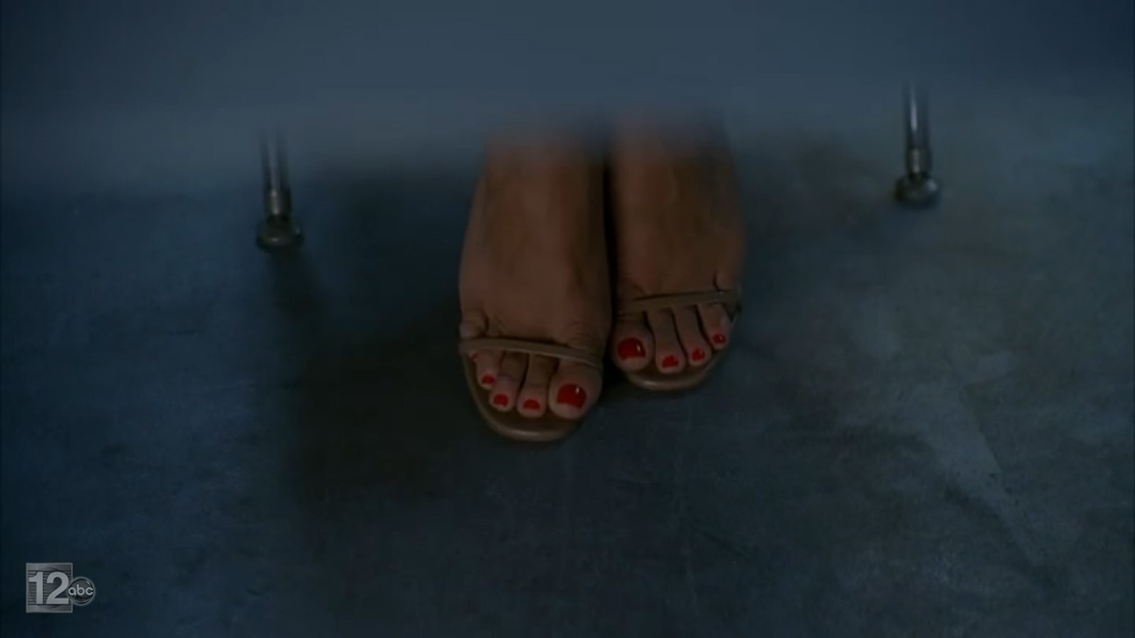 Vanessa Williams Vii S Feet I Piedi Di Vanessa Williams Vii Celebrities Feet 2024