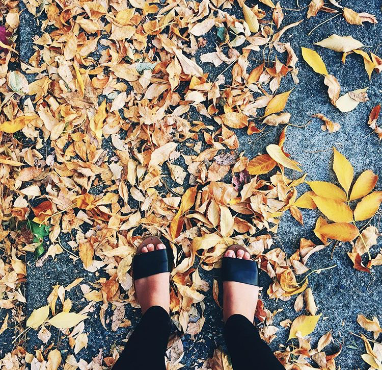 Yana Demeester feet photo 193796302 Yana Demeester feet photo 193796302 - High quality celebrity feet picture